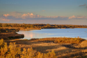 Laguna sud venezia
