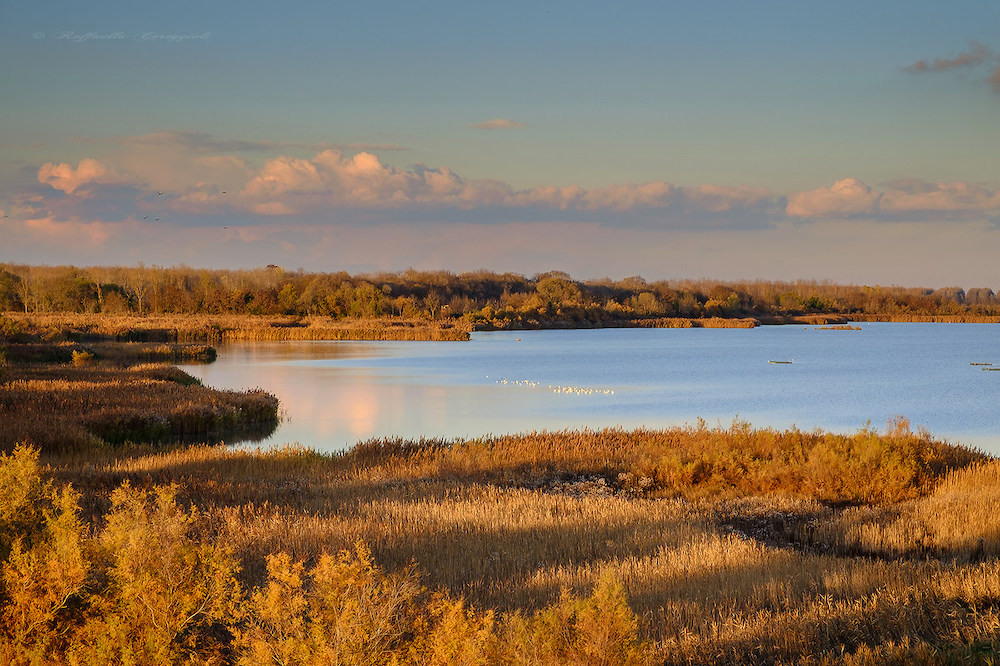 Laguna sud venezia