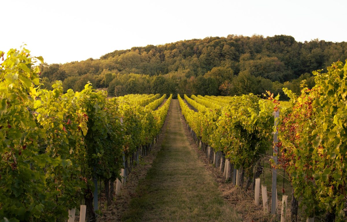 062379EF-F4A5-41A6-AD4E-67407F24EDA9