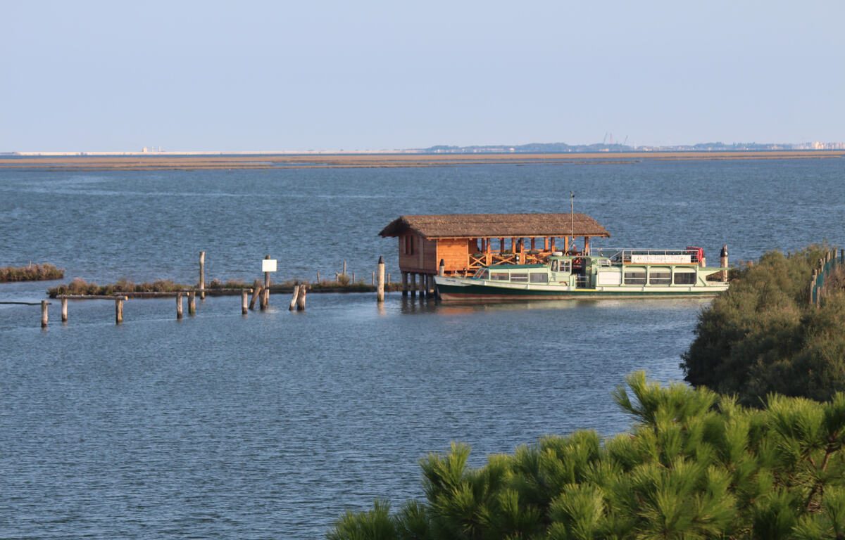 Oasi WWF Valle Averto